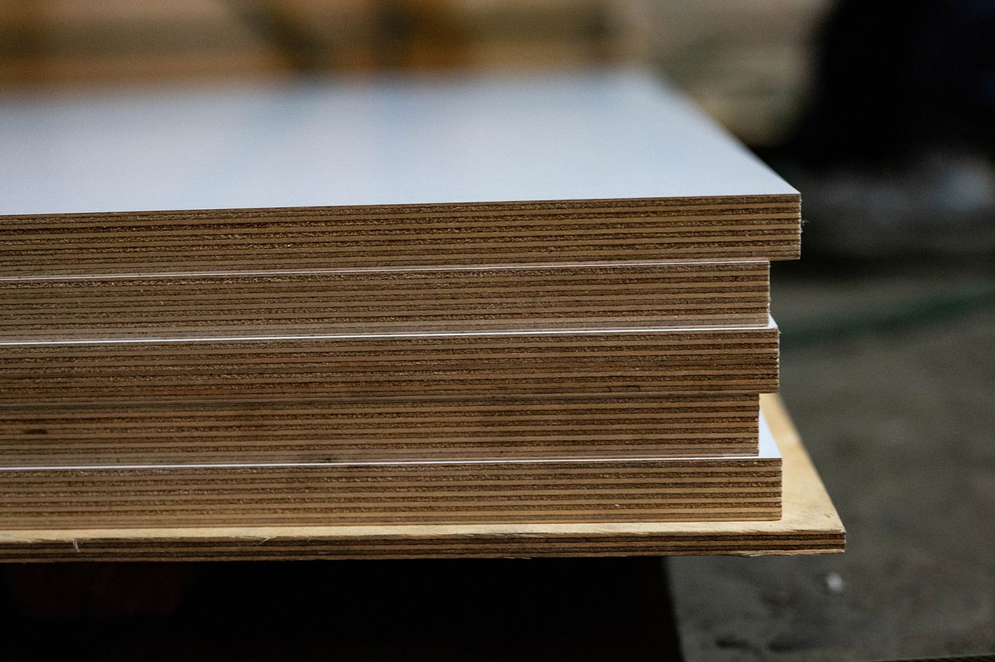 Фанера ФОФ ламинированная 18мм 3000х1500 мм сорт 2/2 березовая WT (белая)