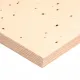Фанера березовая ФК 21мм сорт IV/IV НШ Е1 1525х1525мм SHOP